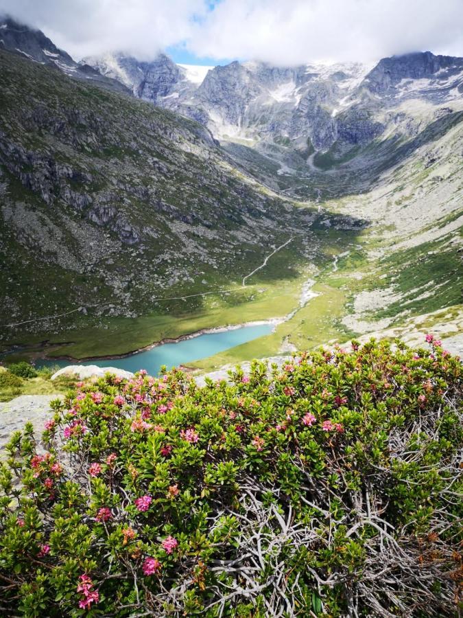 Rifugio Stella Alpina Hotel Saviore dell'Adamello Exterior foto
