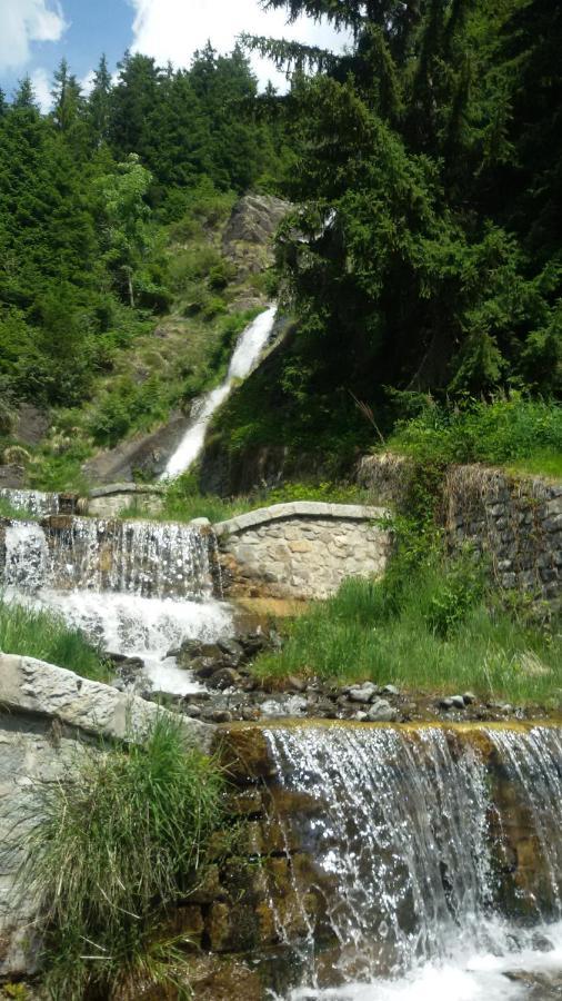 Rifugio Stella Alpina Hotel Saviore dell'Adamello Exterior foto
